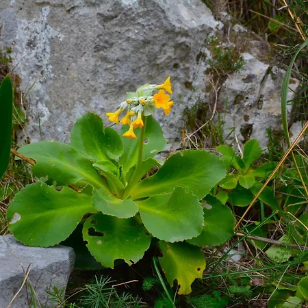 Prázdninový dům Casa A Castellabate