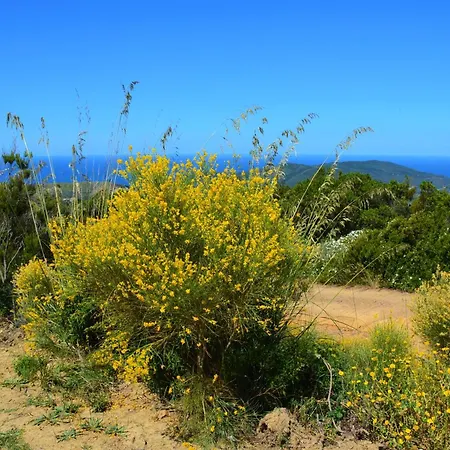 Vakantiehuis Casa A *