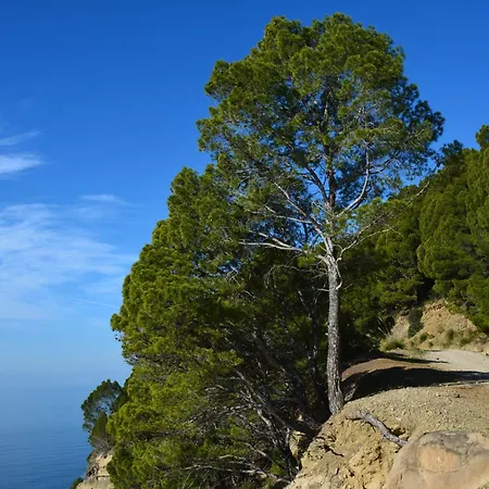 Vakantiehuis Casa A *