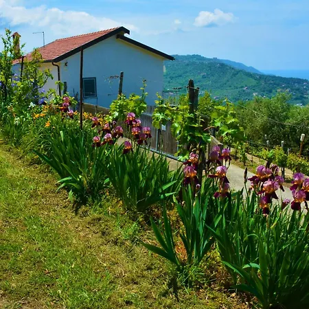 Casa A *